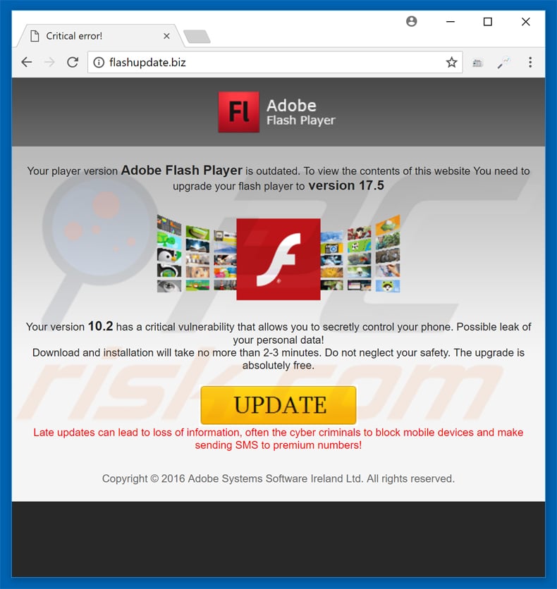 flash player free download for windows 10